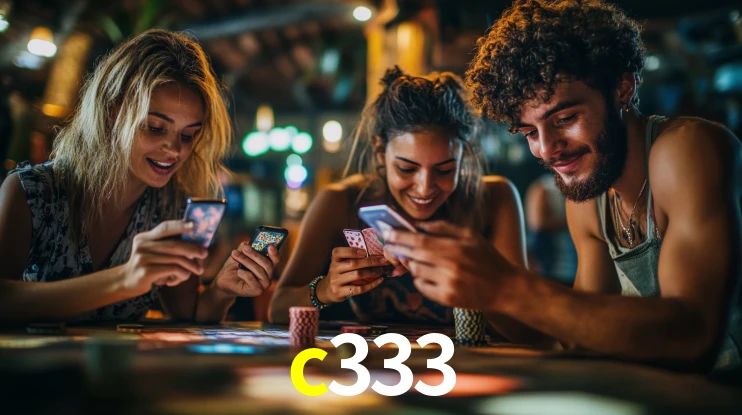 Premium Interface c333